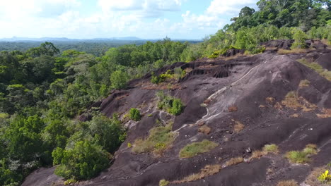 Savane-roche-virginie-inselberg.-Ecosystem-in-Guiana-Rain-forest-by-drone